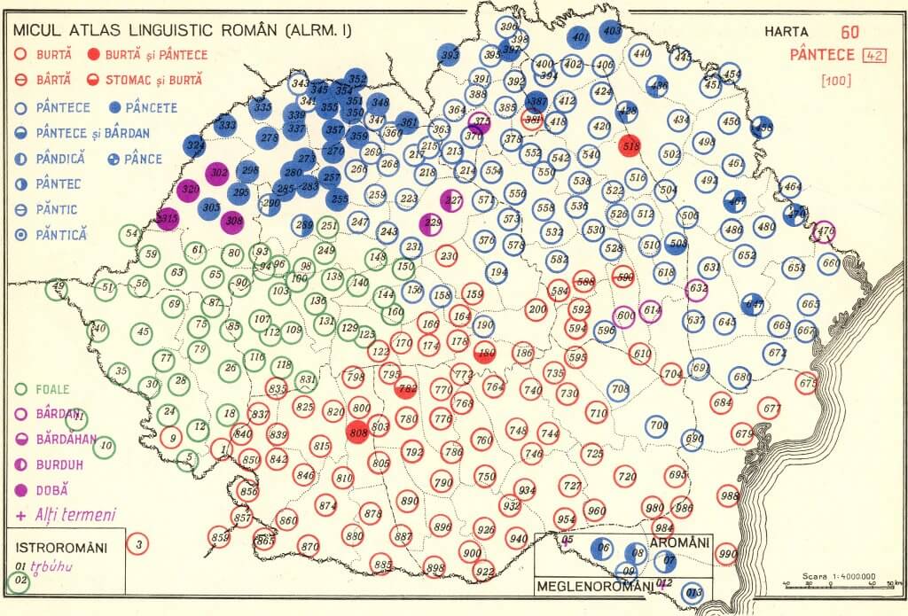 analysis shirt please note Dialectele limbii române – Lecţia de dicţie
