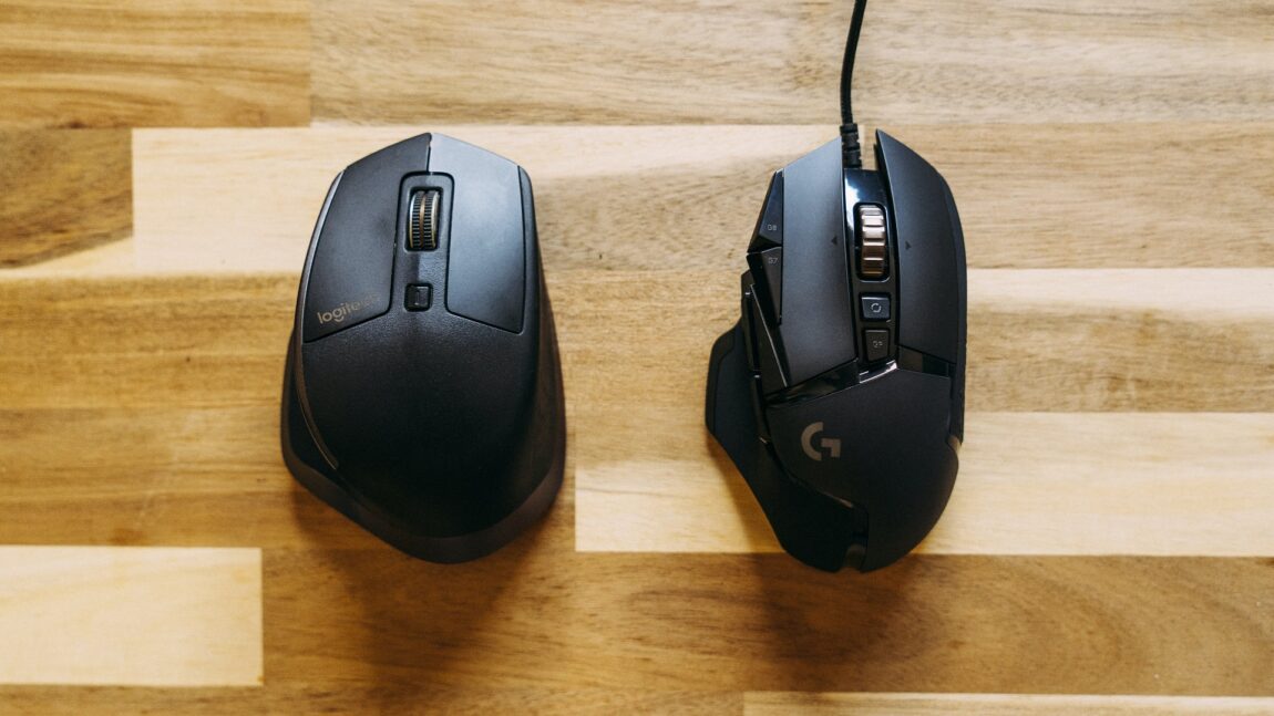 Cum e corect: mouse sau maus?