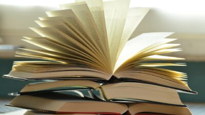 Expresia „a zbura în aer” este pleonastică?