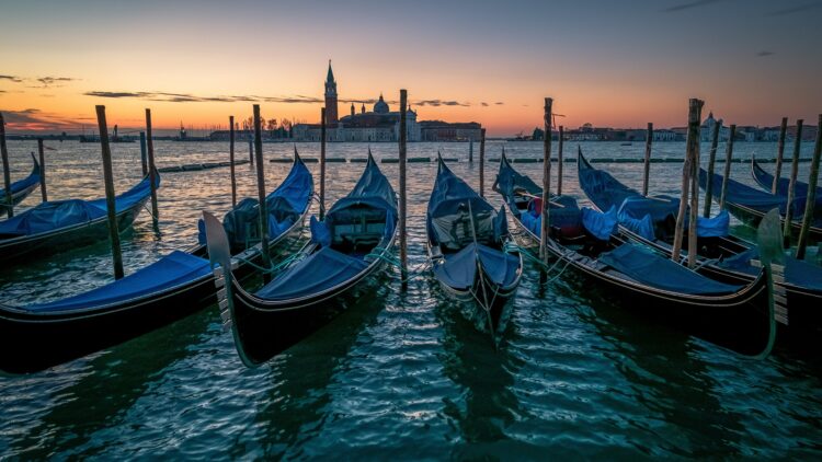Ce înseamnă expresia „Tufă de Veneția”?