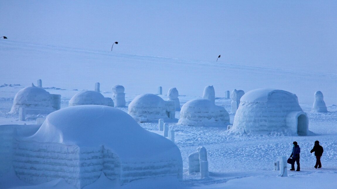 Vezi care este pluralul cuvântului IGLU