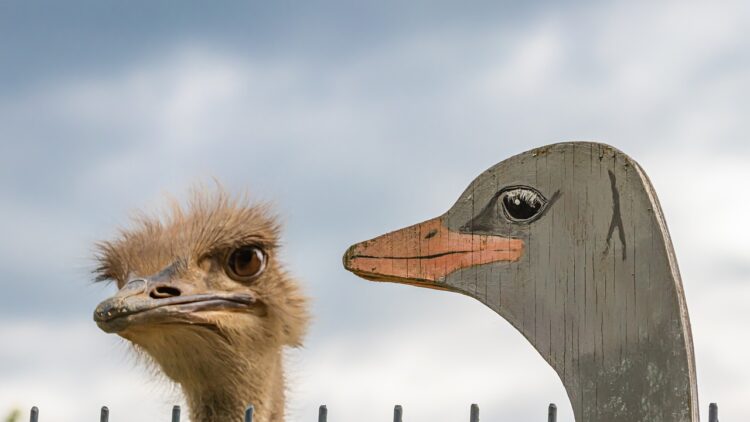 Cum e corect: așa-zișii sau așa zișii?