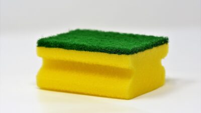 Foarte interesant: tu știi pluralul cuvintelor „burete” și „buret”?