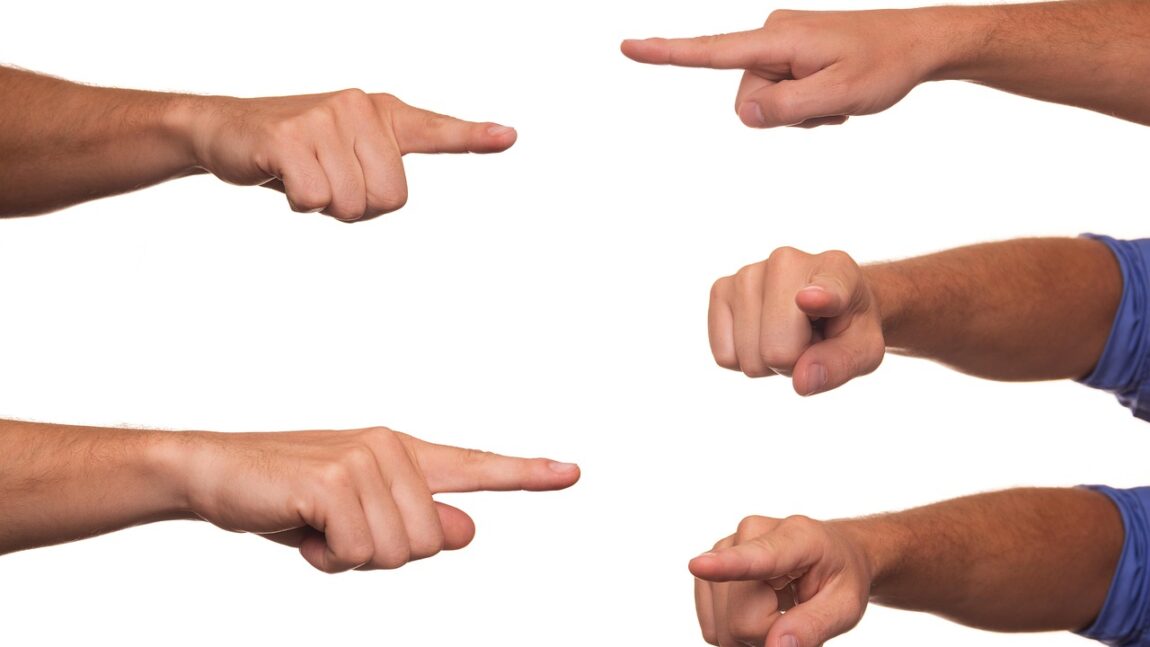 Te-ai întrebat vreodată care este pluralul substantivului VINĂ?