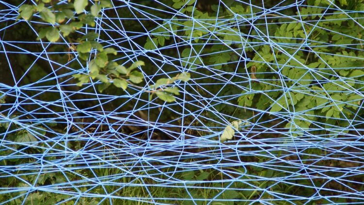 A da din colț în colț – Ce înseamnă expresia?